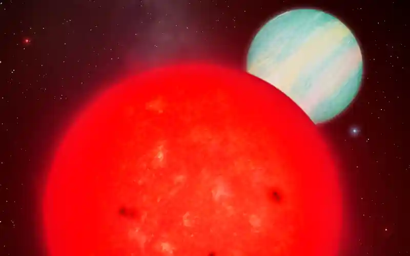TOI 6894 red dwarf