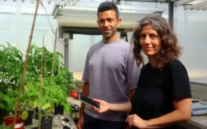 Prof. Lilach Hadany (right) and Prof. Yossi Yovel of Tel Aviv Aviv University. (Courtesy, Tel Aviv Aviv University)