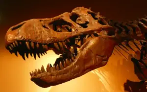 T. Rex
