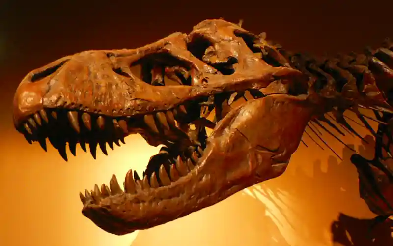 T. Rex