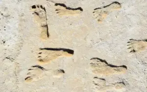 Ancient footprint