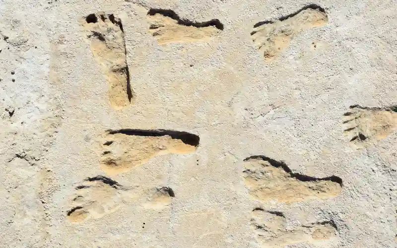 Ancient footprint