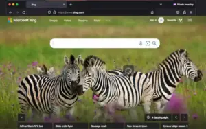 Microsoft Bing