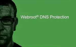 Webroot endpoint security