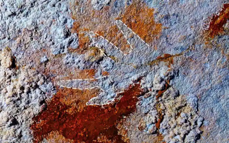 Indonesian oldest known rock art