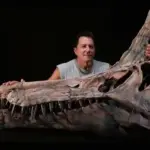 Spinosaurus unearthed