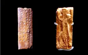 A figurine called Adorant from Geissenkloesterle Cave, located near the town of Blaubeuren in the state of Baden-Wuerttemberg, made approximately 40,000 years old and consisting of a small ivory plate bearing an anthropomorphic figure and multiple sequences of notches and dots, is displayed, in Stuttgart, Germany