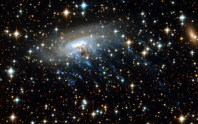 The spiral galaxy ESO 137-001, seen here in an image from Hubble, is an example of a “jellyfish” galaxy, because blue tendrils of star formation stream away from it like jellyfish tentacles. Credit: NASA, ESA